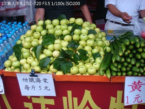 20100723106 20100723106