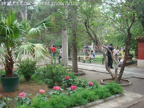 20100725026 20100725026