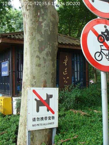 20100801026 20100801026