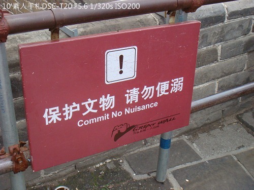 20100723095 20100723095