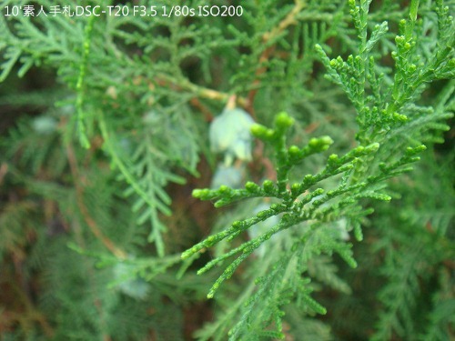 20100724005 20100724005