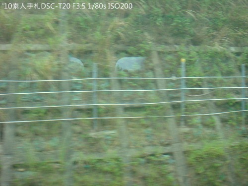 2010082433 2010082433