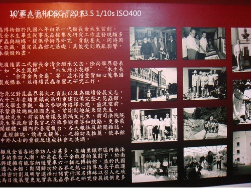 2010013117 2010013117