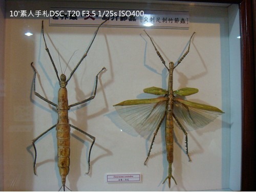 2010013121 2010013121