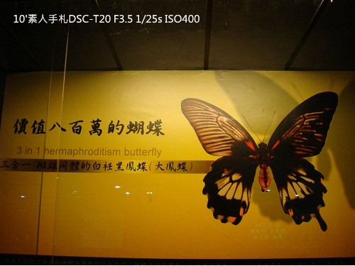 2010013124 2010013124