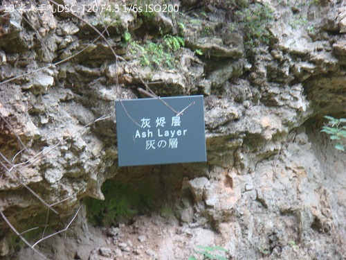 20100724024 20100724024