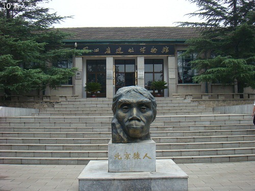 20100724020 20100724020