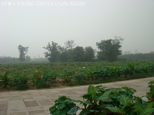 2010072340 2010072340