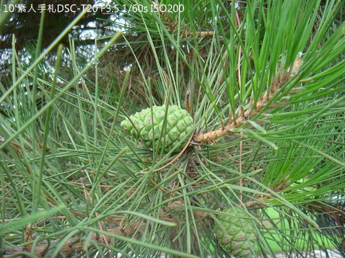 20100724006 20100724006