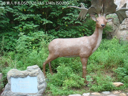 20100724023 20100724023