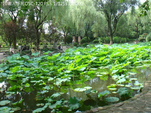 20100801003 20100801003